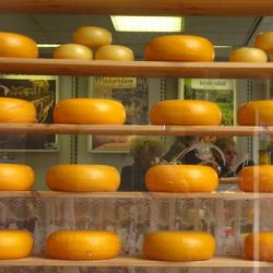 Forme di formaggio olandese